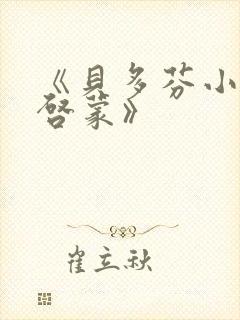 《贝多芬小姐的启蒙》封面