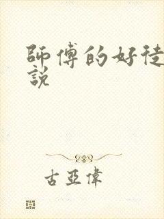 师傅的好徒弟小说封面