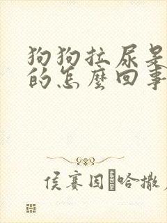 狗狗拉尿是红色的怎么回事