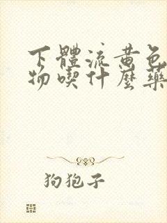 下体流黄色分泌物吃什么药