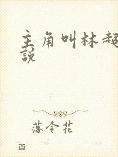 主角叫林超的小说
