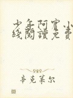 少年阿宾小说在线阅读免费全文