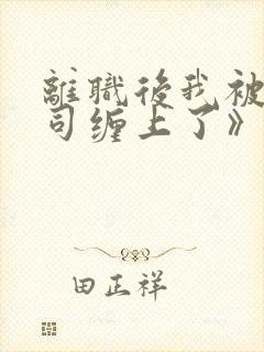 离职后我被前上司缠上了》