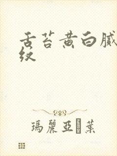 舌苔黄白腻有裂纹