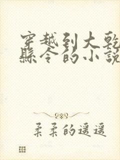 穿越到大乾成为县令的小说