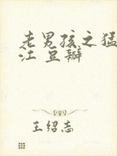 老男孩之猛龙过江 豆瓣