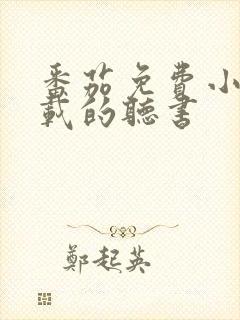 番茄免费小说下载的听书封面