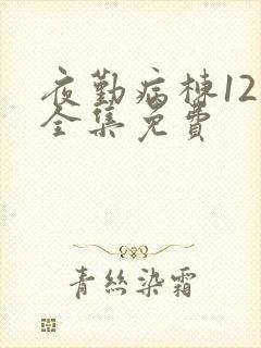 夜勤病栋12集全集免费