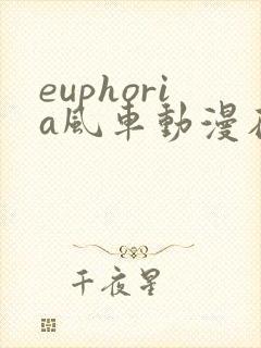 euphoria风车动漫在线观看