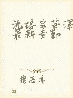 沈榕宁萧泽小说最新章节