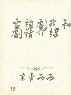 电视剧我和丈娘剧情介绍