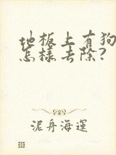 地板上有狗尿味怎样去除?