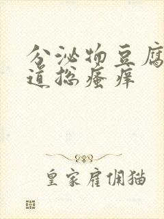 分泌物豆腐渣阴道总瘙痒