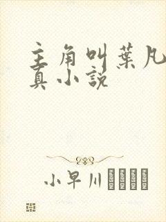 主角叫叶凡的修真小说