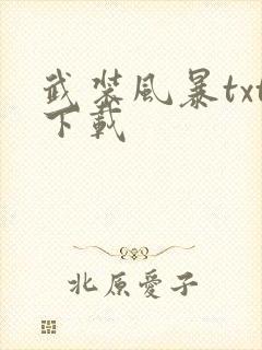 武装风暴txt下载