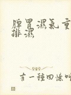 脾胃湿气重怎么排湿