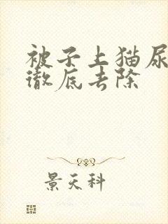 被子上猫尿怎么彻底去除