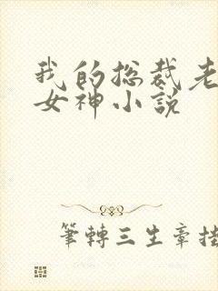 我的总裁老婆是女神小说