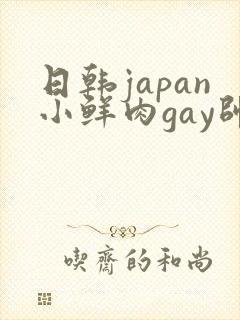 日韩japan小鲜肉gay帅气