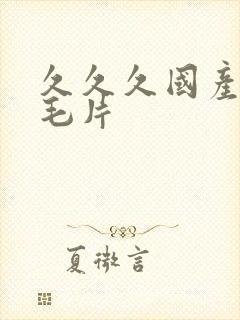 久久久国产精品毛片