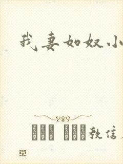 我妻如奴小说