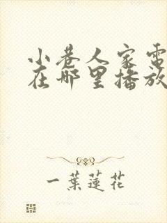 小巷人家电视剧在哪里播放