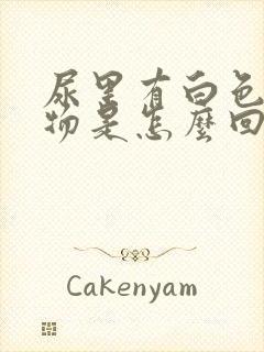 尿里有白色沉淀物是怎么回事