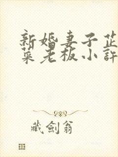 新婚妻子芷珊和菜老板小许小说免费