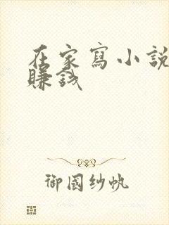 在家写小说怎么赚钱