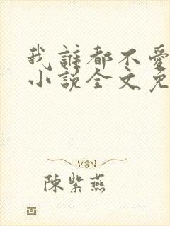 我谁都不爱清衫小说全文免费阅读封面