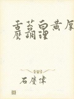 舌苔白黄厚腻怎么调理