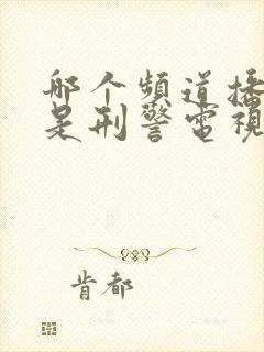 哪个频道播放我是刑警电视剧