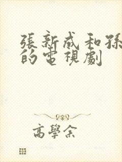 张新成和孙千演的电视剧