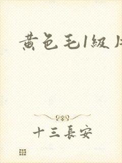 黄色毛1级片