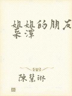 姐姐的朋友 李采潭