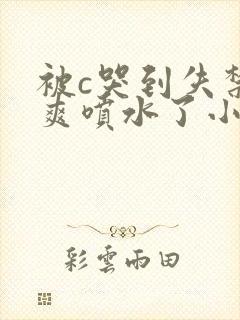 被c哭到失禁好爽喷水了小说