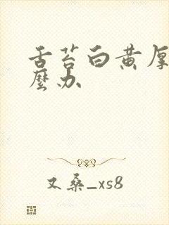 舌苔白黄厚腻怎么办