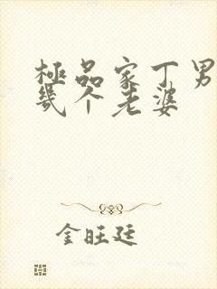 极品家丁男主有几个老婆