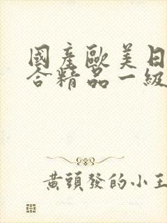 国产欧美日韩综合精品一级