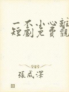 一不小心离错婚短剧免费观看封面