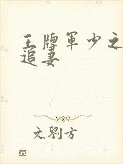 王牌军少之特战追妻