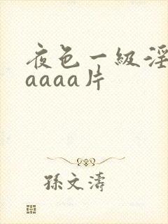 夜色一级淫片aaaaa片