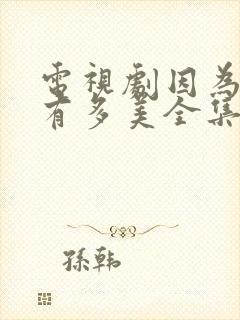 电视剧因为爱情有多美全集播放