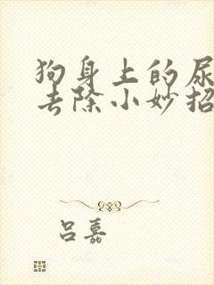 狗身上的尿骚味去除小妙招