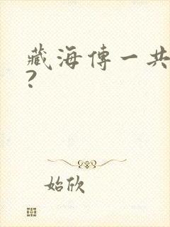 藏海传一共几集?