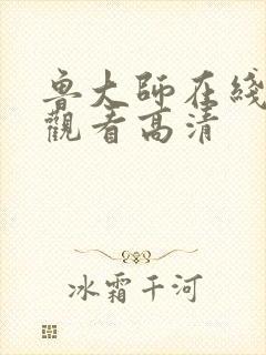 鲁大师在线影院观看高清