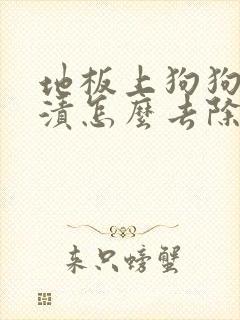 地板上狗狗的尿渍怎么去除封面