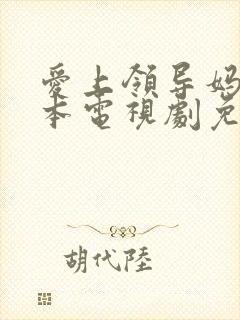 爱上领导妈妈日本电视剧免费观看封面
