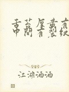 舌苔厚黄有齿痕中间有裂纹