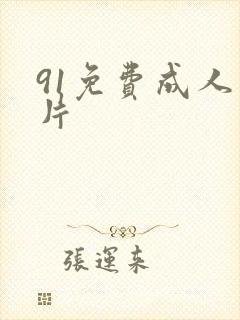 91免费成人看片